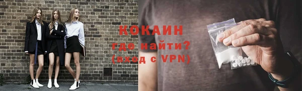 крисы Пересвет