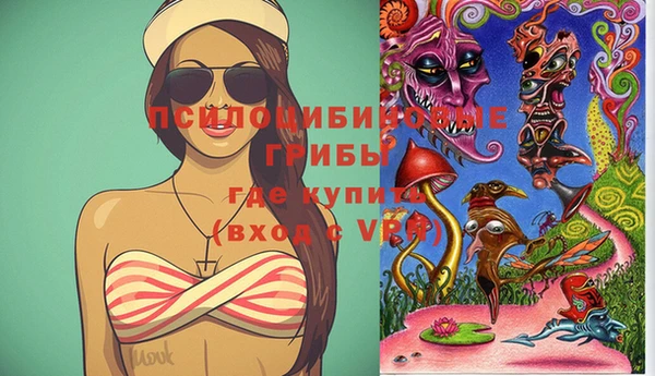 соль ск Пестово