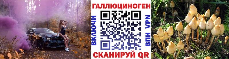 даркнет формула  как найти наркотики  blacksprut рабочий сайт  Анадырь  Псилоцибиновые грибы Psilocybine cubensis 